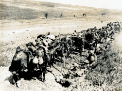 G257 Unnamed cavalry unit roadside.