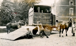 G308 Ambulance for wounded British horses, France, 1918.