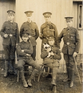 G391 Yorks and Lancaster Regiment with kitten